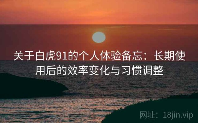关于白虎91的个人体验备忘：长期使用后的效率变化与习惯调整