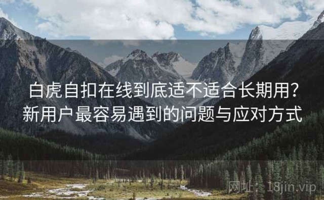 白虎自扣在线到底适不适合长期用？新用户最容易遇到的问题与应对方式