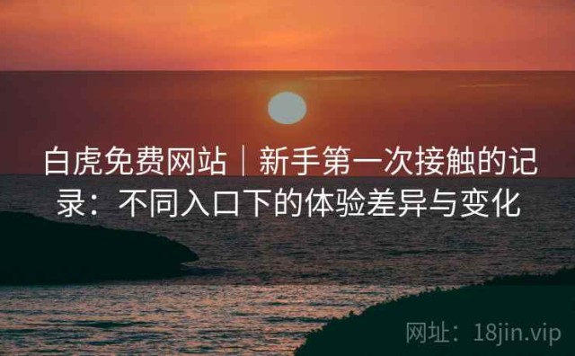 白虎免费网站｜新手第一次接触的记录：不同入口下的体验差异与变化