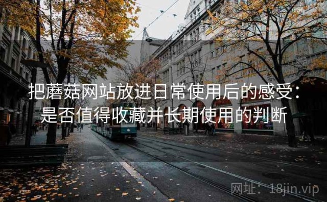 把蘑菇网站放进日常使用后的感受：是否值得收藏并长期使用的判断