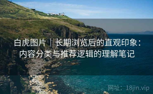 白虎图片｜长期浏览后的直观印象：内容分类与推荐逻辑的理解笔记