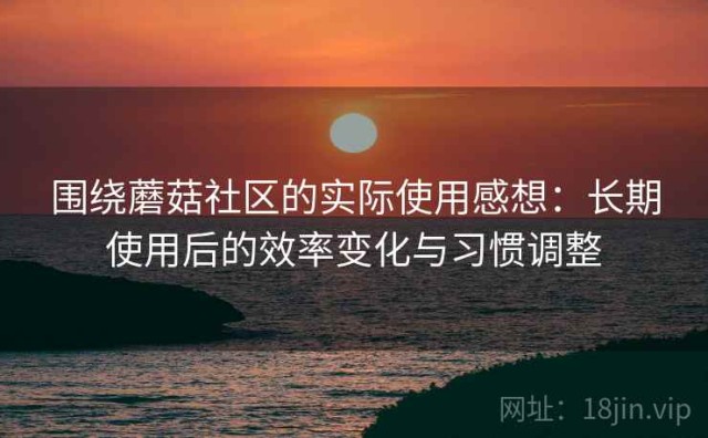 围绕蘑菇社区的实际使用感想：长期使用后的效率变化与习惯调整