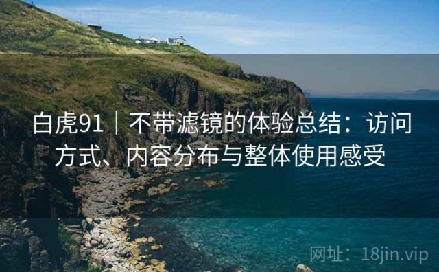 白虎91｜不带滤镜的体验总结：访问方式、内容分布与整体使用感受