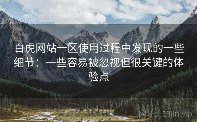 白虎网站一区使用过程中发现的一些细节：一些容易被忽视但很关键的体验点