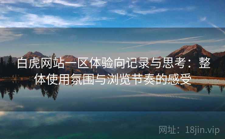 白虎网站一区体验向记录与思考：整体使用氛围与浏览节奏的感受