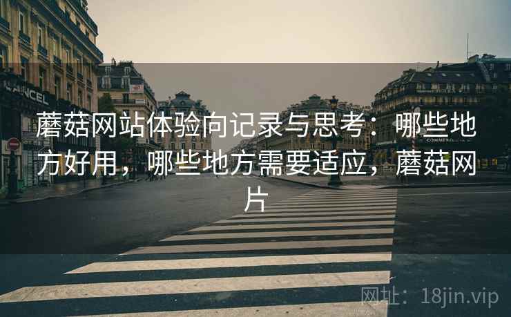 蘑菇网站体验向记录与思考：哪些地方好用，哪些地方需要适应，蘑菇网片