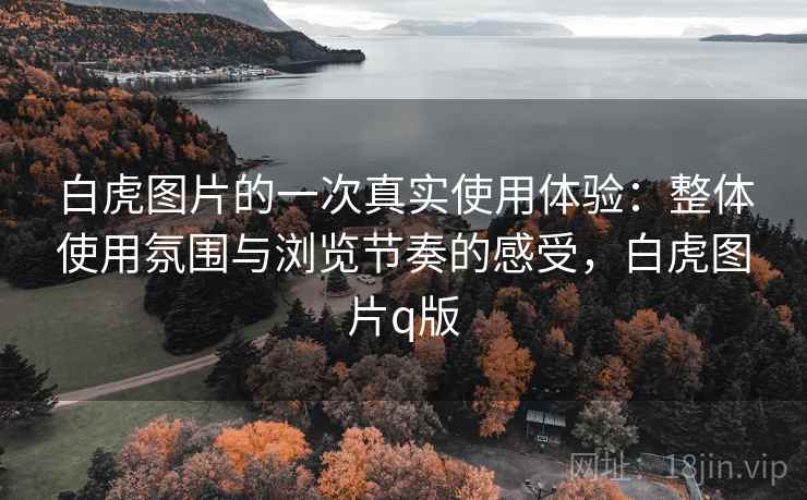 白虎图片的一次真实使用体验：整体使用氛围与浏览节奏的感受，白虎图片q版