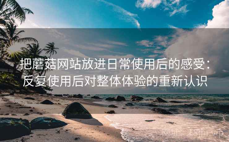 把蘑菇网站放进日常使用后的感受:反复使用后对整体体验的重新认识 把蘑菇网站放进日常使用后的感受:反复使用后对整体体验的重新认识