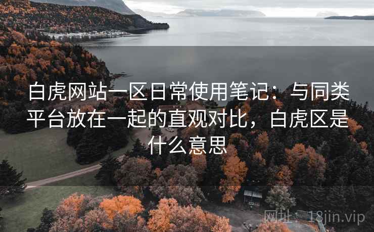 白虎网站一区日常使用笔记：与同类平台放在一起的直观对比，白虎区是什么意思