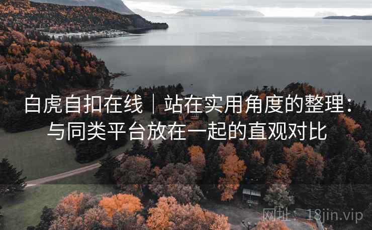 白虎自扣在线｜站在实用角度的整理：与同类平台放在一起的直观对比