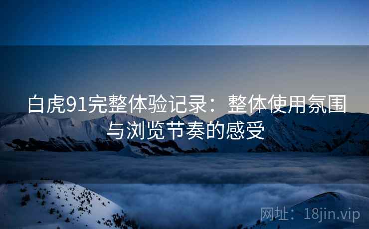 白虎91完整体验记录：整体使用氛围与浏览节奏的感受