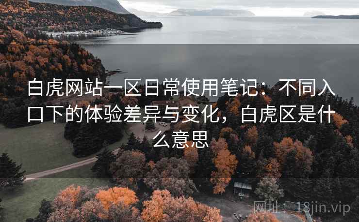 白虎网站一区日常使用笔记:不同入口下的体验差异与变化,白虎区是什么意思 白虎网站一区日常使用笔记:不同入口下的体验差异与变化,白虎区是什么意思